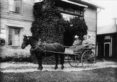 Lissola Anna Persson f. 1869 d. 1953, sonen Klas f. 1910 d. 1930. Agnes Bartelsson och Alma Andersson i vagn efter häst