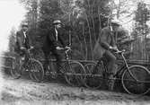 Bröderna Elggren, cyklister. Hjalmar, Botolf och Isidor Elggren tillhörde Georg Renströms vänkrets