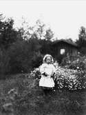 En liten flicka i trädgården, framför en blomrabatt
