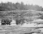 Abborforsen, Ljusnan vid Tolvskillingskällan. I maj 1917 bildades en timmerbröt, 