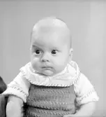 Barnet Larsson.
(Barbro Larsson)

