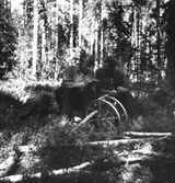 Från vänster:
Julius Mägiste professor
Peder Paulsen (Skaakberg) f.1879 i Torkil,Grue Finnskog ,Norge