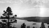 Sjön Letten, uppdämd 1955, sedd från Bograngsberget.