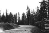 Haldia-kroken, spökstället mellan Medskogen och Bograngen, Södra Finnskoga