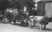 Barnens Dag i Linköping 1925.