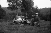 Tre pojkar sitter på en högt belägen äng och kramar varsitt får. Till höger 