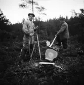 Skogsarbete. Bernt Sjöberg i Gustafsberg och John på Centralen tar en rökpaus i trädfällandet.