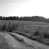 Herrestad socken. Fröland. Stenåldersboplats 21a och b. Sedd från sydväst.