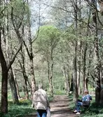 Stadsträdgården i Gävle.