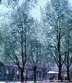 Fotografiet taget från Esplanaden västerut mot Drottninggatan, Gävle.