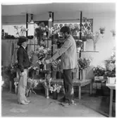 Marierovägens Blommor