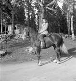 Furuviksparken invigdes 1936

Laila till häst, vars far var chef för parken.















