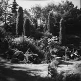 Ett stenparti med enar och andra buskar, stenbelagda gångar och trappa i Fullsbäckens Botanisk anläggning och plats för allmogekultur