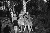 Molins fyra döttrar i Vabränna står vid några soliga björkar intill stenmuren och skojar med varandra. Till vänster syns Kloar-Eriks skugga fotografera.