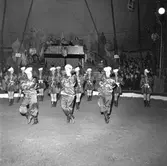 Gävle

På Fisktorget/Hamntorget finns Cirkustältet med Furuviks Ungdomscirkus.













