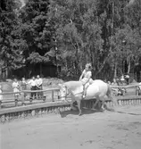 Furuvik

Furuviksparken invigdes pingstdagen 1936.
Folkdanslaget Furuviks Ungdomslag och Barnkabarén blev Furuviksbarnen.













