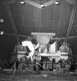 Furuviksparken invigdes pingstdagen 1936.  Furuviksrevyn 