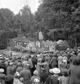 Furuviksparken invigdes pingstdagen 1936.

Folkdanslaget Furuviks Ungdomslag och Barnkabarén blev Furuviksbarnen







