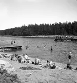 Furuviksparken invigdes pingstdagen 1936.

Nöjesfältet, badplatsen Sandvik och djurparken gjordes i ordning.

Badplatsen Sandvik

