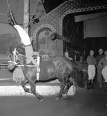 Furuvik
Folkdanslaget Furuviks Ungdomslag och Barnkabarén blev Furuviksbarnen.
Cirkusbyggnaden Teater-cirkus med ca 600 platser, uppförd 1940
Furuviksbarnen tränar inför turnén













