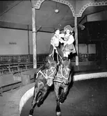 Furuvik
Folkdanslaget Furuviks Ungdomslag och Barnkabarén blev Furuviksbarnen.
Cirkusbyggnaden Teater-cirkus med ca 600 platser, uppförd 1940
Furuviksbarnen tränar inför turnén














