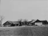 Bossgården. Baksidan av fähuset med gödselhögen.