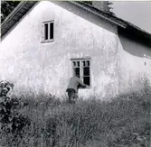 Ruinerna av Vikens kvarnbyggnader. Foto taget från 