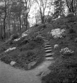 Stenparti i Stadsträdgården