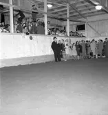 Godsägare Söderhjelm, elevuppvisning i ridhuset.

