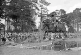 Hästhoppning. I 14. Den 17 maj 1953