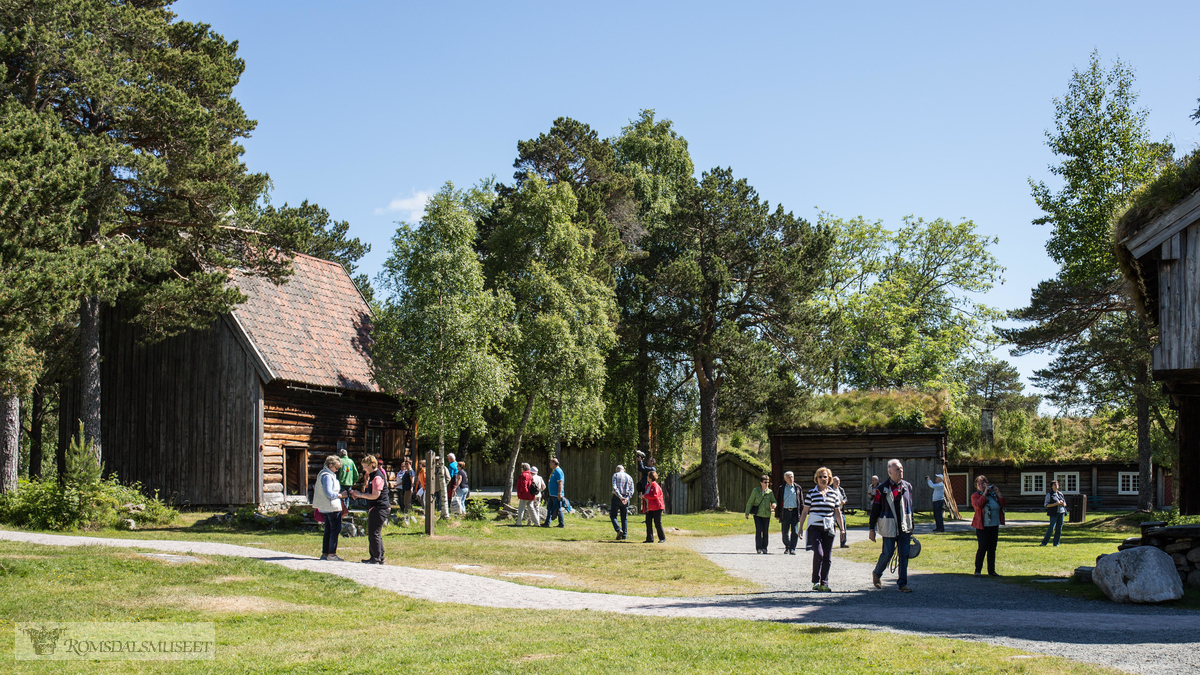 Romsdalsmuseet med turister fra turistskipet Costa Pacifica.