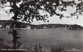 Helenevik vid Rådasjön i Mölndal, ca 1950-tal. Vy från handikappsbadet. Avfotograferat vykort. På bilden syns bland annat fastigheten Heleneviksvägen 6, där fotografiets ägare bor sedan 1985. Huset byggdes 1955 och drivs numera med hjälp av en solcellsanläggning.