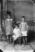 Barnporträtt - tre barn, Östhammar, Uppland