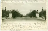 Paris - Avenue des Champs-Elysées