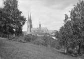 Uppsala domkyrka från Slottsbacken, Uppsala före 1914