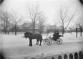 Hästekipage vid Järnvägsparken, Uppsala, före 1914