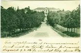Nääs slott.  