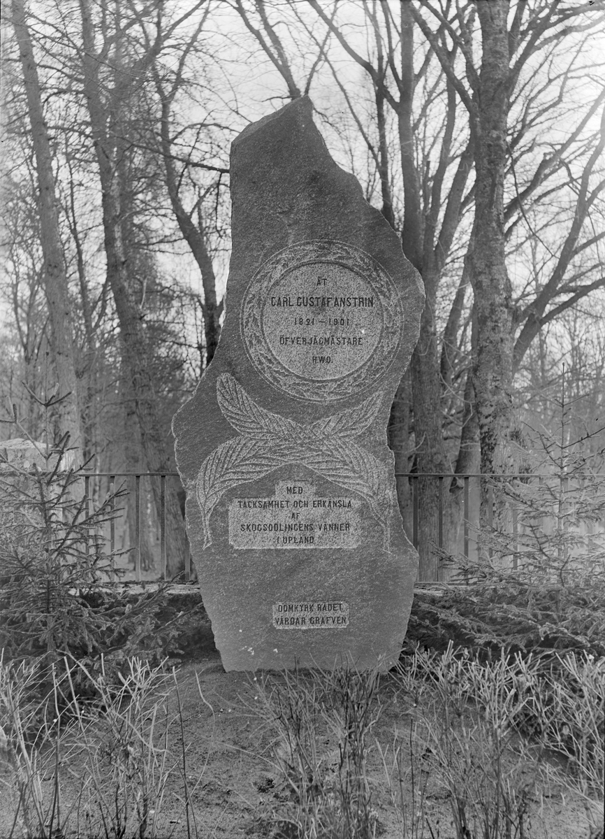 Henri Osti's Fotografiateliér, C G Anstrin’s Grave Care, Kåbo, Uppsala before 1914
