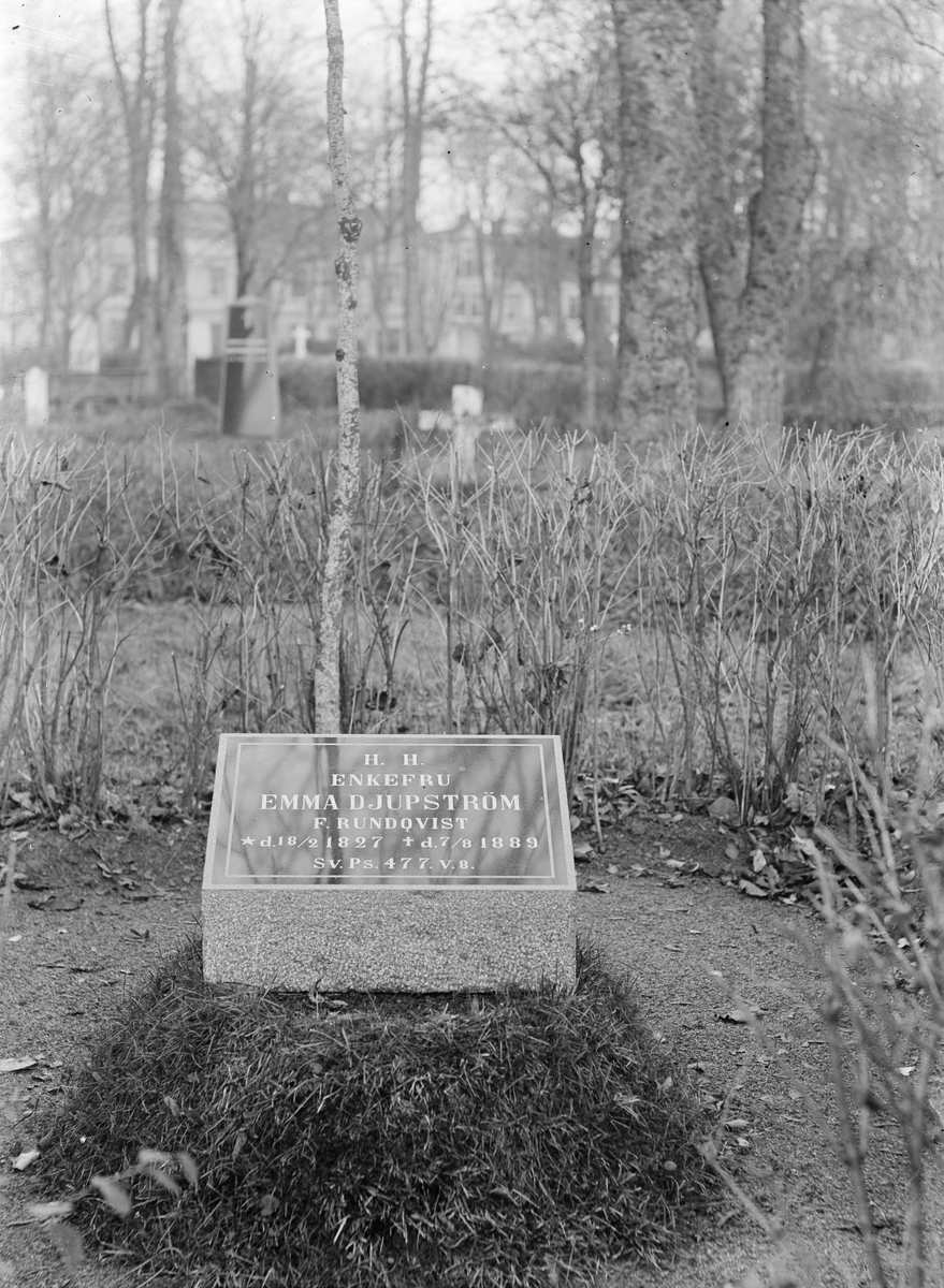 Henri Osti's Fotografiateliér, Emma Djupström’s grave care, Kåbo, Uppsala 1902