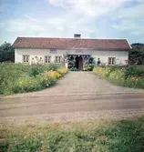 Lines Karl i Fageråkra med besök av Anders Lundgren framför det långsträckta bostadshuset. Längs den breda gången fram till verandan med snickarglädje prunkar höga dahlior och ringblommor.