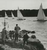 Segelbåtar på Baggensfjärden, Tjustviksholm.
Personer: Valdemar Ahlgren, Werner Rehn, Gunnar Lander