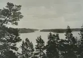 Utiskt från Ängsvik.