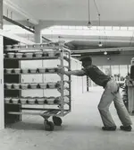 Interiörbild, Hushållsporslinsfabriken.
Personer: Fabriksarbetare.