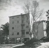 Exteriörbild. Hästhagen. Punkthus med två och trerumslägenheter.