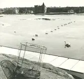 Exteriör. Huvudkontoret för Gustavsbergs Fabriker AB vid Gustavsbergs hamn och Farstaviken.
Personer: okända