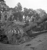 Höststormen

September 1937