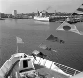 Statens Järnvägars, SJ,  M/S Trelleborg i Trelleborgs hamn