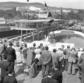 Statens Järnvägar, SJ, tågfärjeleden Trelleborg- Sassnitz 50 år. M/S Trelleborg anlöper Sassnitz