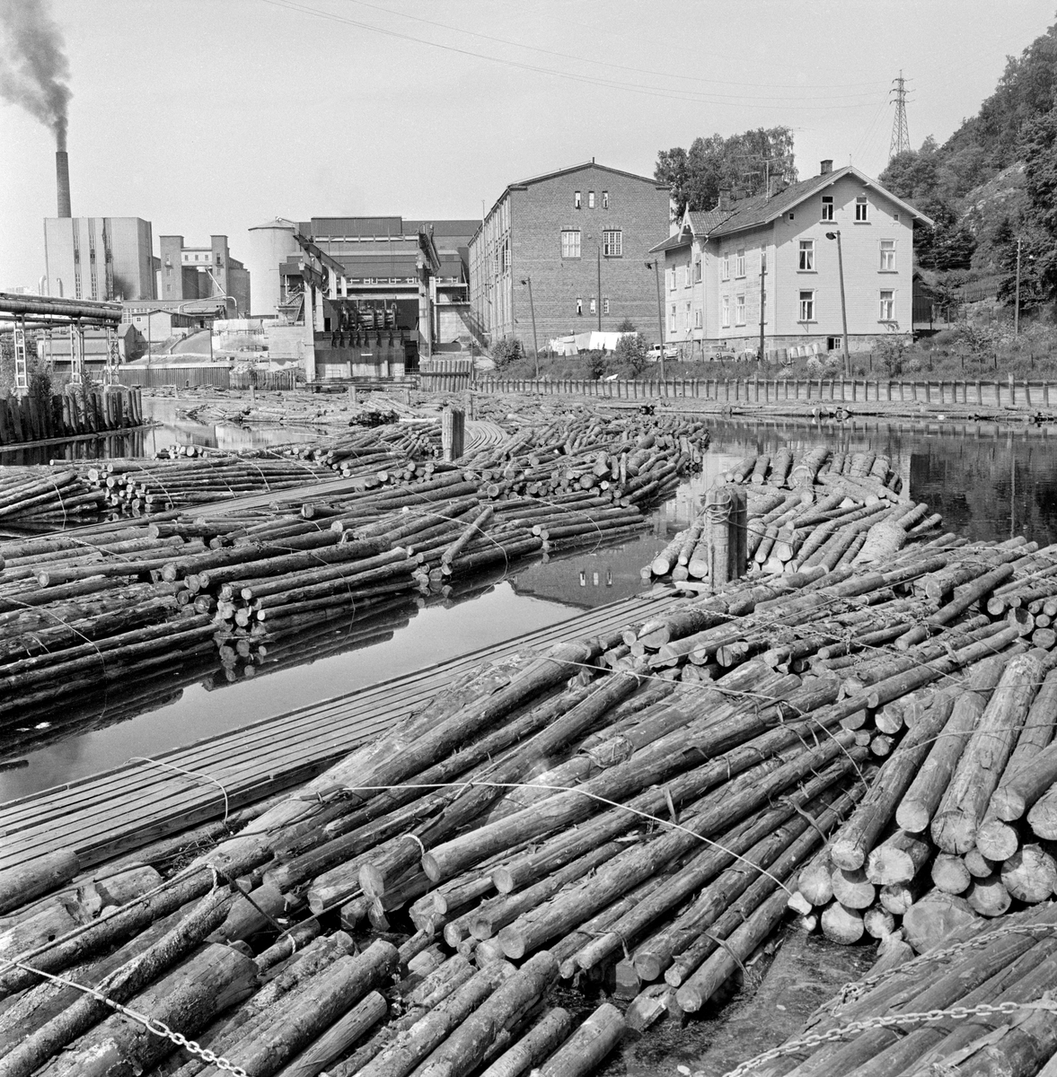 Parti fra Tistedalselva eller Tista.  Fotografiet er tatt nedenfor Skåningsfoss sluser, der tømmeret ble sluset i bunter – «moser».  Det fantes dessuten en utislagsplass for lastebilbunter ved nordre elvebredd, til høyre for det stedet der fotografen må ha stått da dette bildet ble tatt (jfr. SJF-F.009488). Noe av tømmeret som kom ned til dette stedet skulle tas inn i produksjonen ved Saugbrugsforeningen, noe skulle fløtes videre gjennom slusa ved Porsnes, som brakte det ned på havets nivå.  De to bygningene til høyre i bildet ble reist for Norsk Gardinfabrikk.  I den store mursteinsbygningen sentralt i den øvre delen av dette bildet hadde denne bedriften sine produksjonslokaler, mens trehuset til høyre inneholdt leiligheter for noen av arbeiderne.  Disse bygningene ble overtatt av Saugbrugsforeningen, som innredet elektrisk avdeling og lagerlokaler, i Gardinfabrikken.  Saugbrugsforeningen hadde to tømmerinntak, det ene med ei svær mobilkran som var plassert like til venstre for den tidligere gardinfabrikken.  Det andre inntaket lå til venstre i bildet.  Det hadde et automatisk kappeanlegg som tømmeret passerte på veg inn mot den svært trommelen som frigjorde alle barkrester, som ville ha framstått som flekker på papiret.

En liten historikk om tømmerfløting og kanaliseringsarbeid i Haldenvassdraget finnes under fanen «Opplysninger».