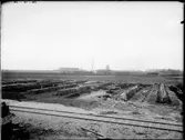 Odlingsbäddar vid spårområde, eventuellt för sockerbetor. I bakgrunden syns järnvägsverkstäderna i Johanneslust, Malmö.